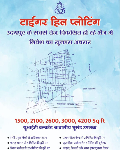 Tiger hill plot planing