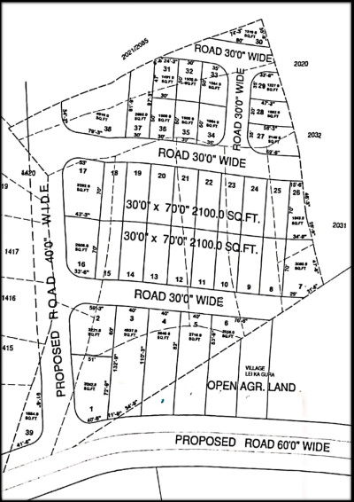 Tiger hill plot planing